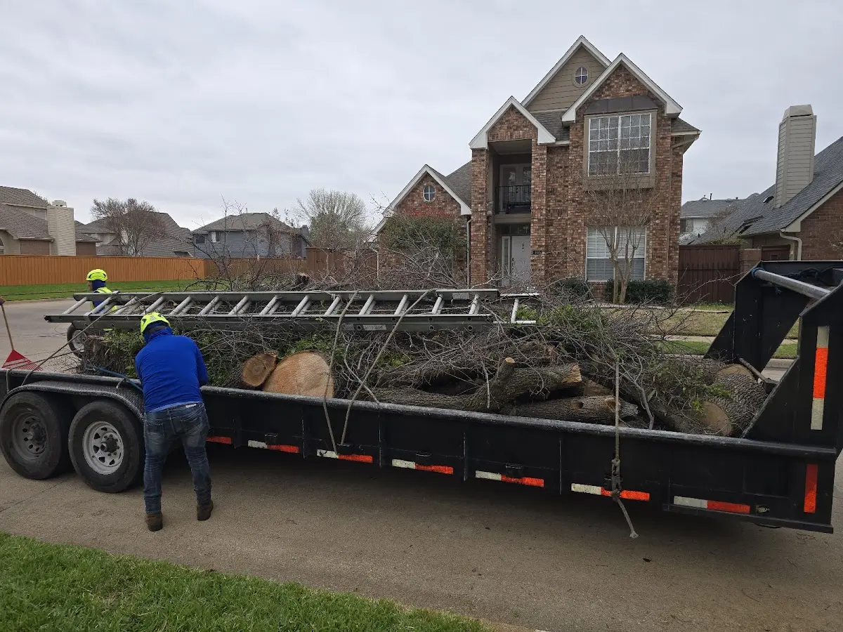 Expert Tree Pest Control with proper safety equipment in Santa Clarita
